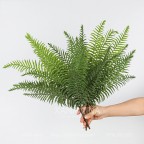 Cây giả dương xỉ hoàng đế